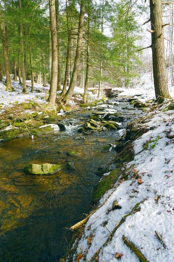 Secluded Streamside Home With Hot Tub Margaretville Exterior foto